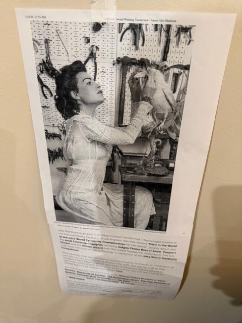 Sale Photo Thumbnail #53