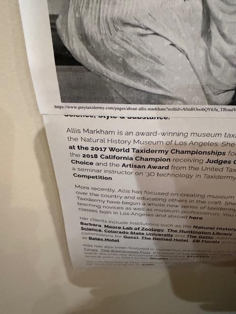 Sale Photo Thumbnail #54