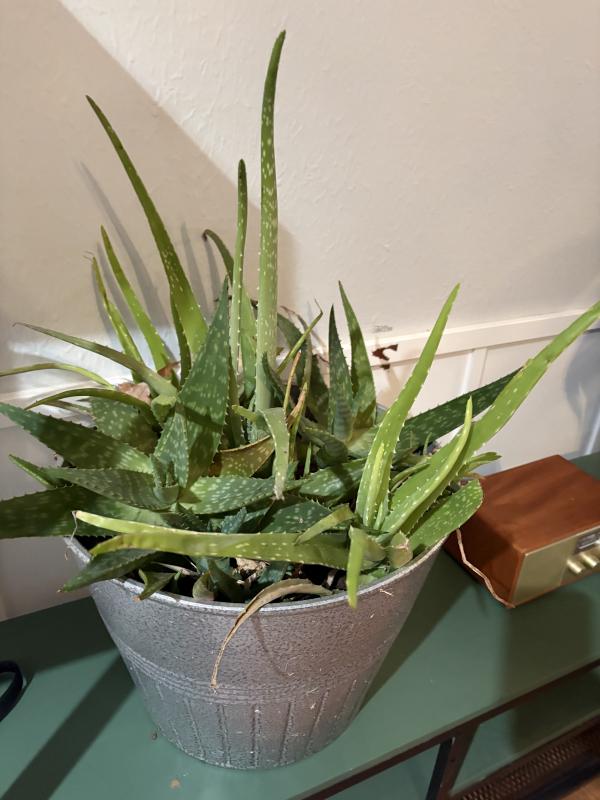 Sale Photo Thumbnail #100