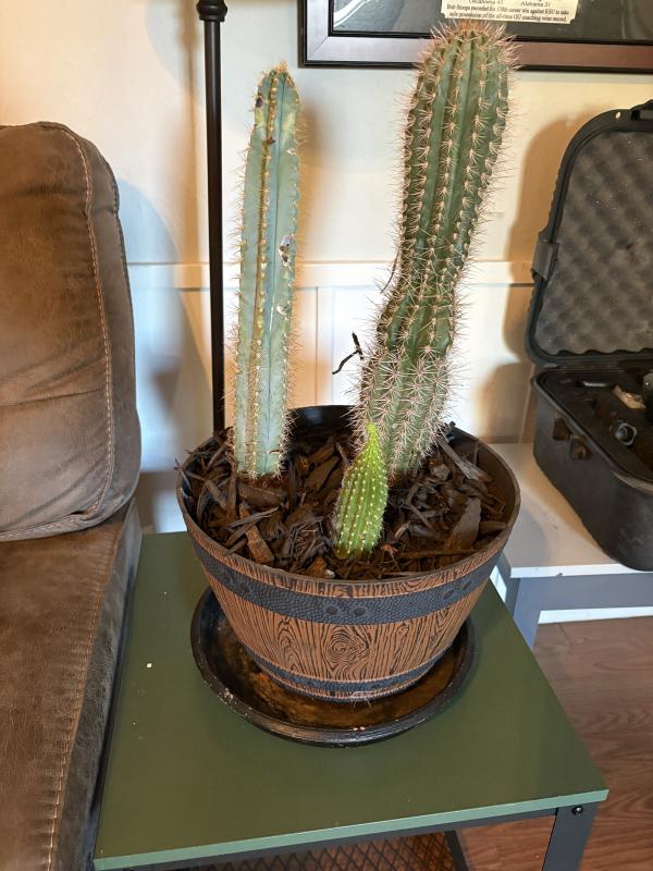 Sale Photo Thumbnail #99