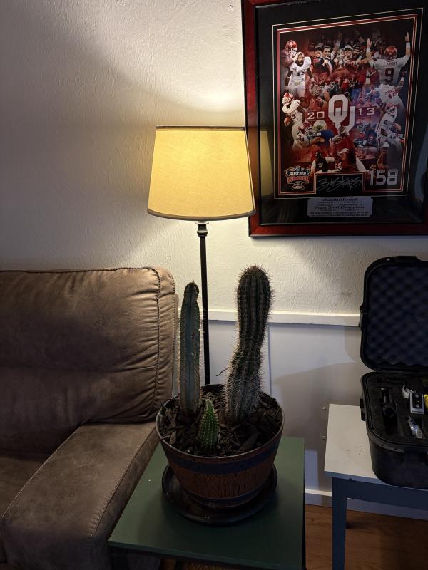 Sale Photo Thumbnail #25