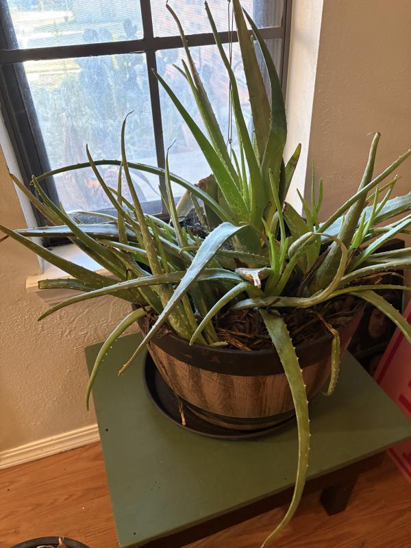 Sale Photo Thumbnail #102