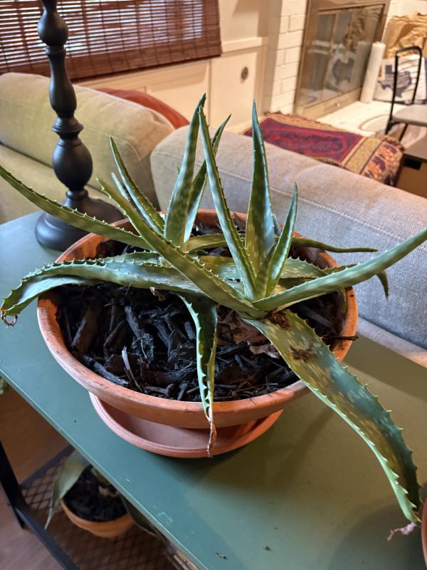 Sale Photo Thumbnail #97