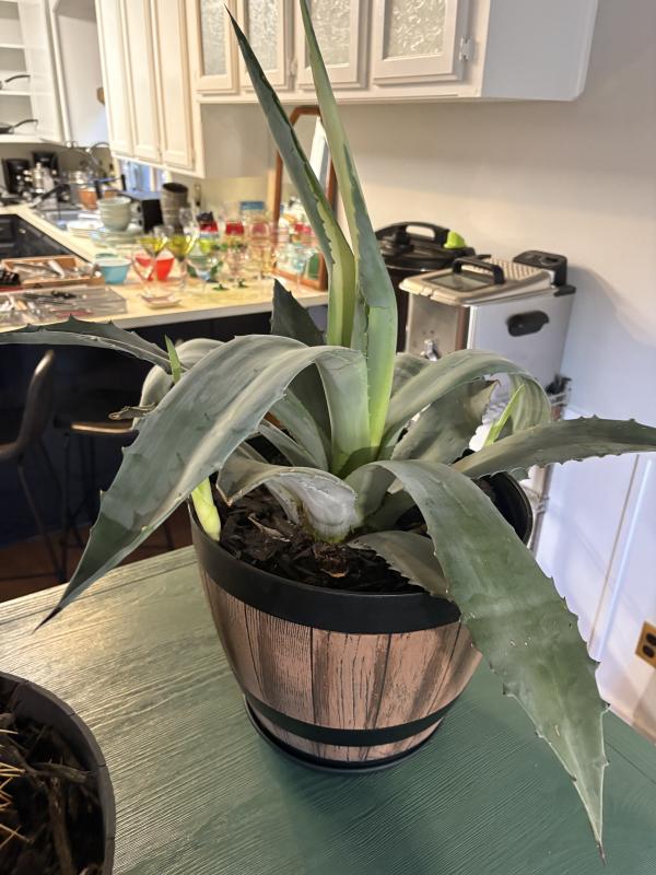 Sale Photo Thumbnail #93