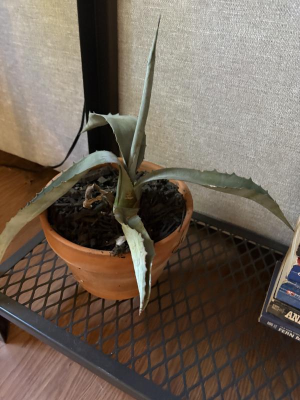 Sale Photo Thumbnail #95