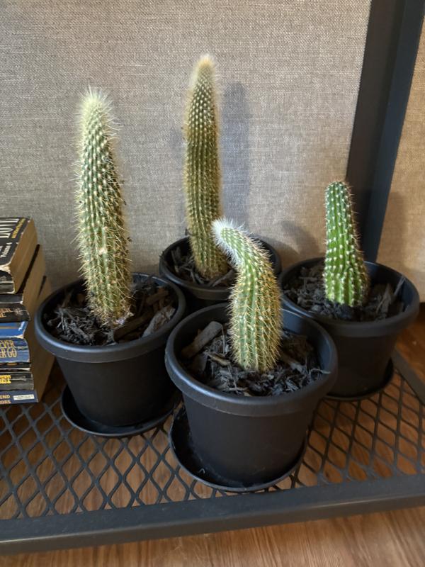 Sale Photo Thumbnail #96