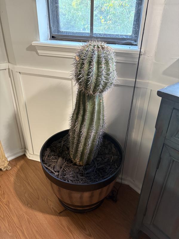 Sale Photo Thumbnail #90