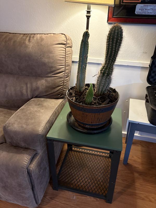 Sale Photo Thumbnail #24