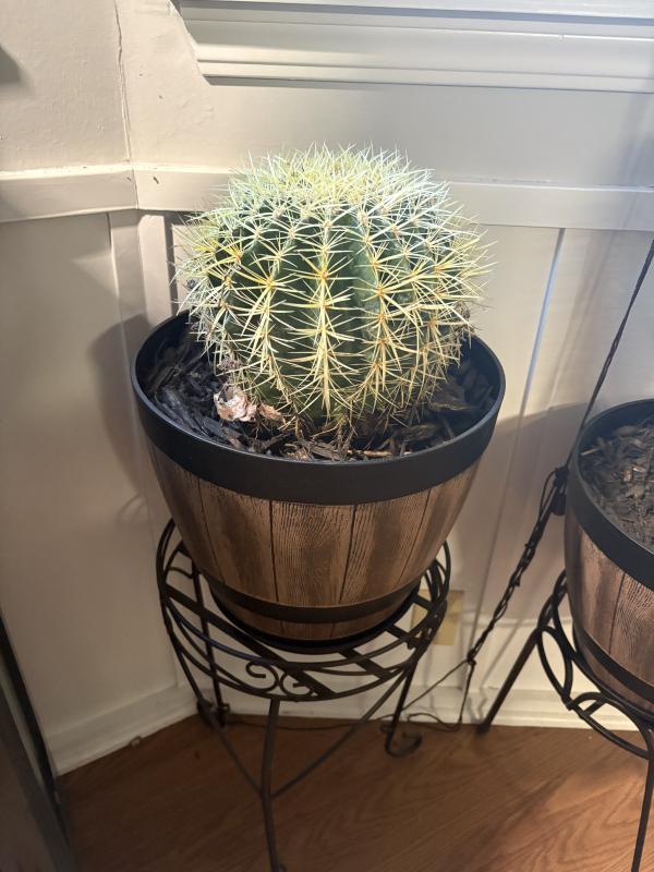 Sale Photo Thumbnail #92