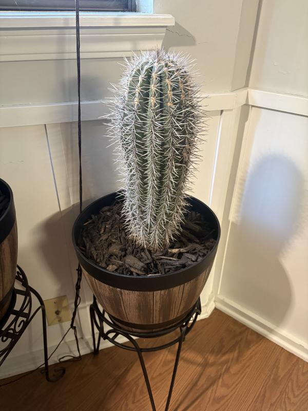 Sale Photo Thumbnail #91