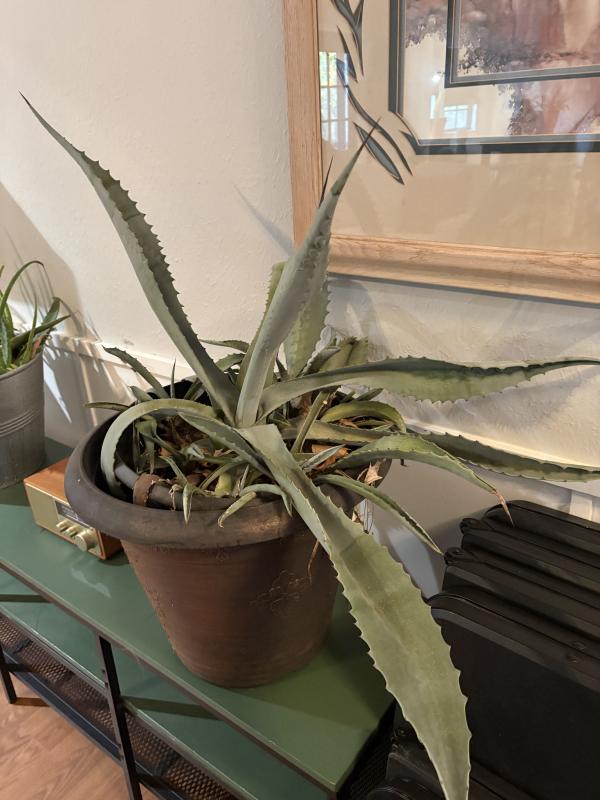 Sale Photo Thumbnail #101