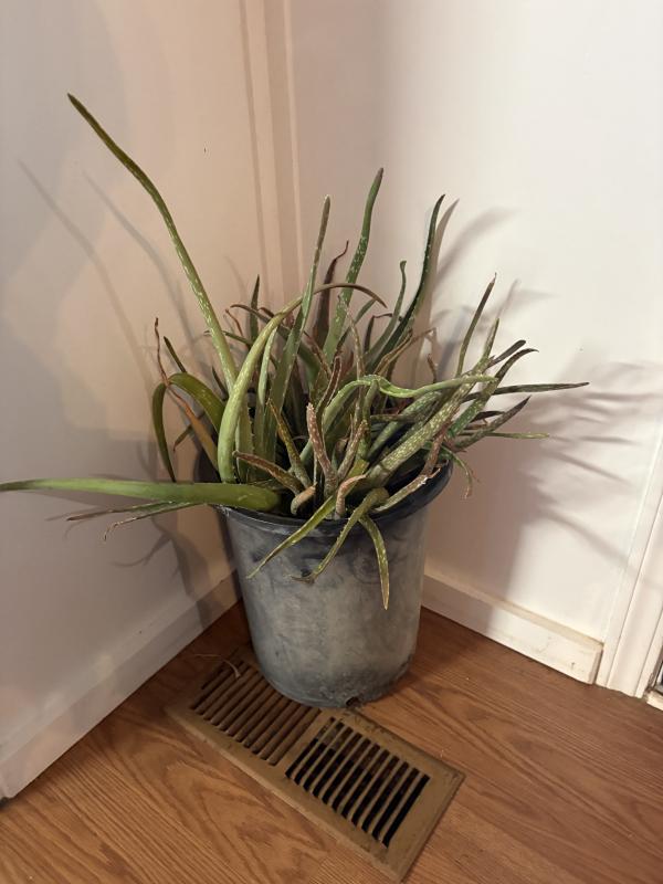 Sale Photo Thumbnail #94