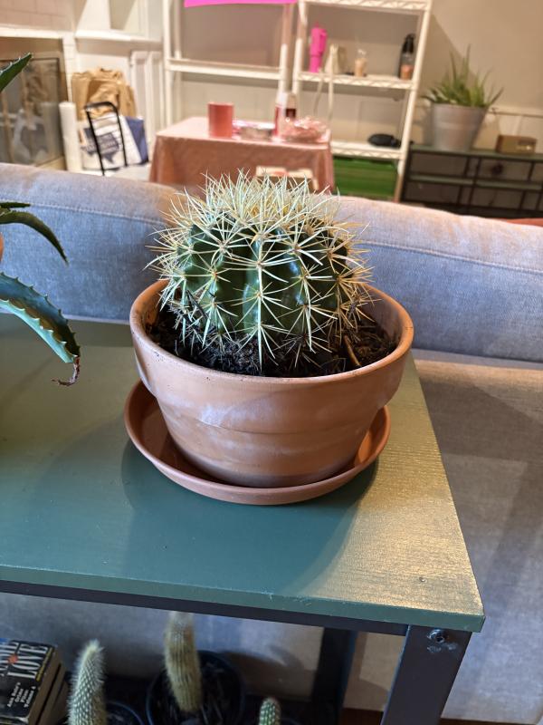 Sale Photo Thumbnail #98