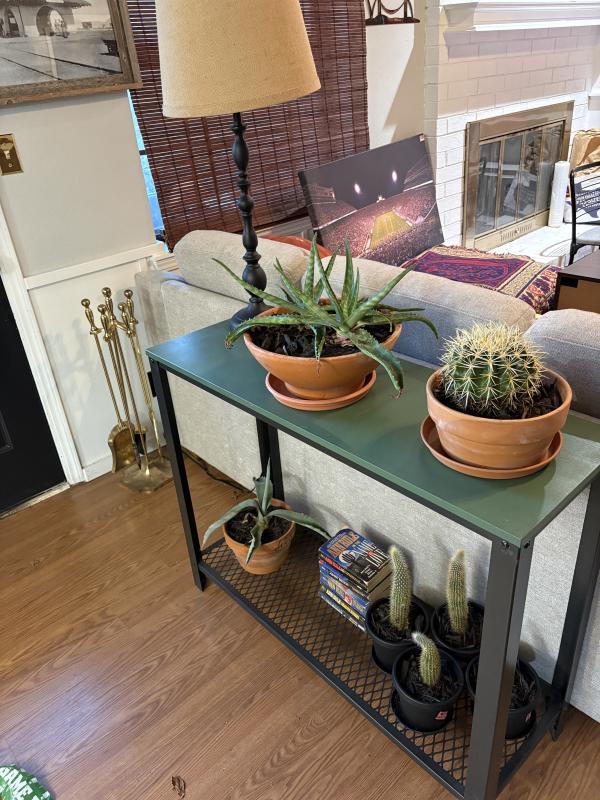 Sale Photo Thumbnail #17