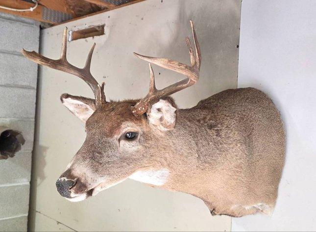 Sale Photo Thumbnail #100