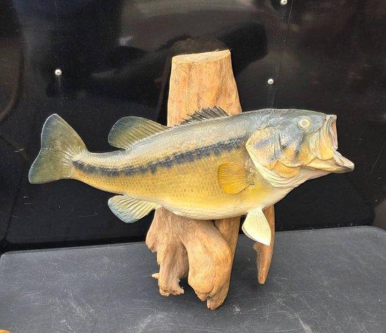 Sale Photo Thumbnail #111