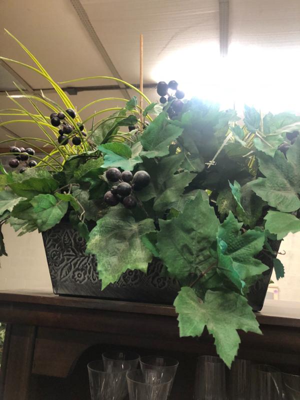 Sale Photo Thumbnail #55