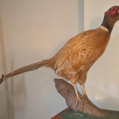 Sale Photo Thumbnail #112