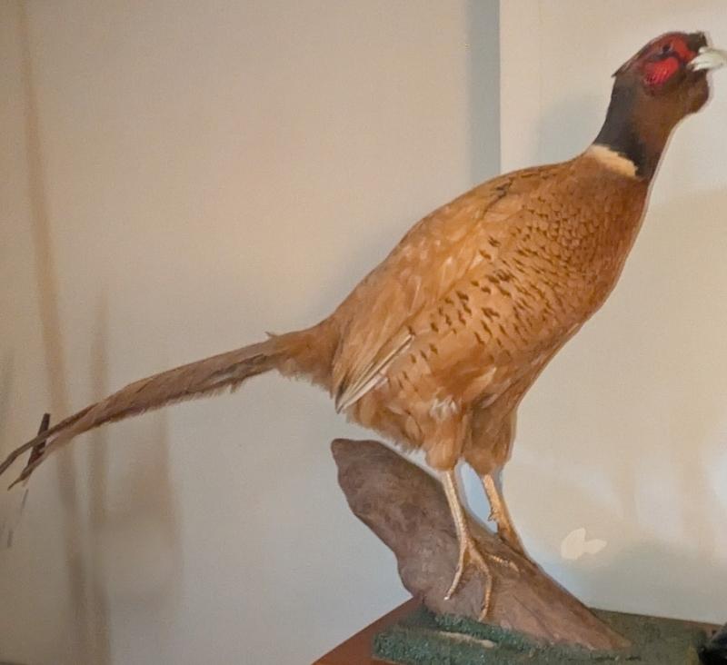 Sale Photo Thumbnail #112