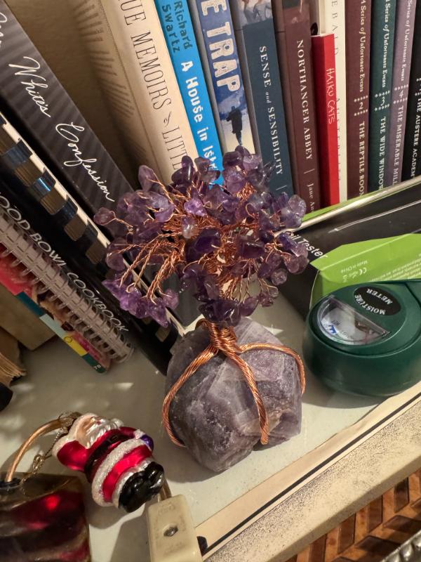 Sale Photo Thumbnail #21