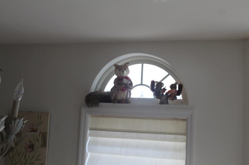 Sale Photo Thumbnail #32