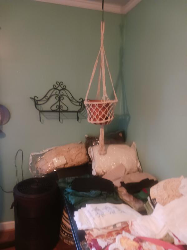 Sale Photo Thumbnail #7