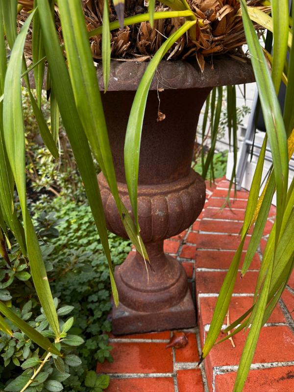 Sale Photo Thumbnail #659