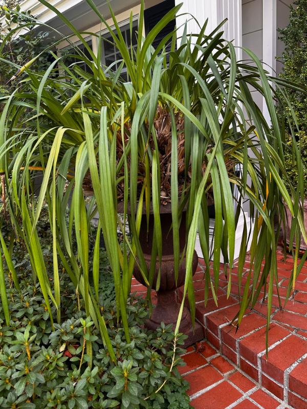 Sale Photo Thumbnail #658