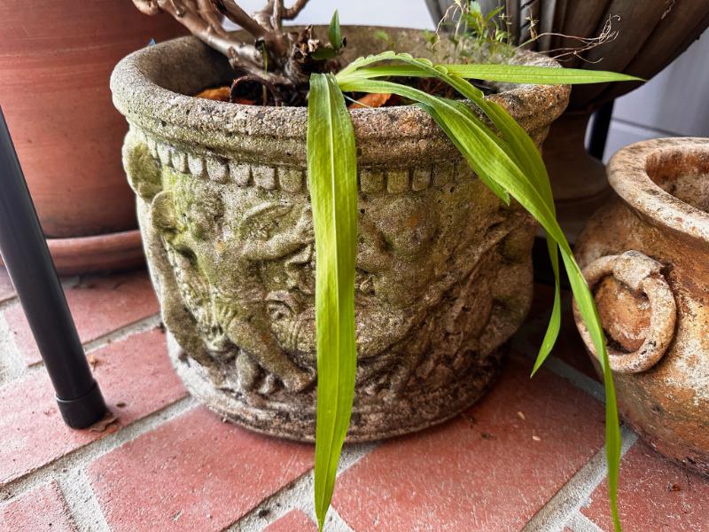 Sale Photo Thumbnail #715