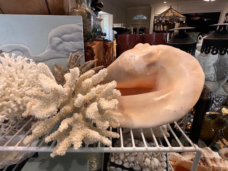 Sale Photo Thumbnail #320