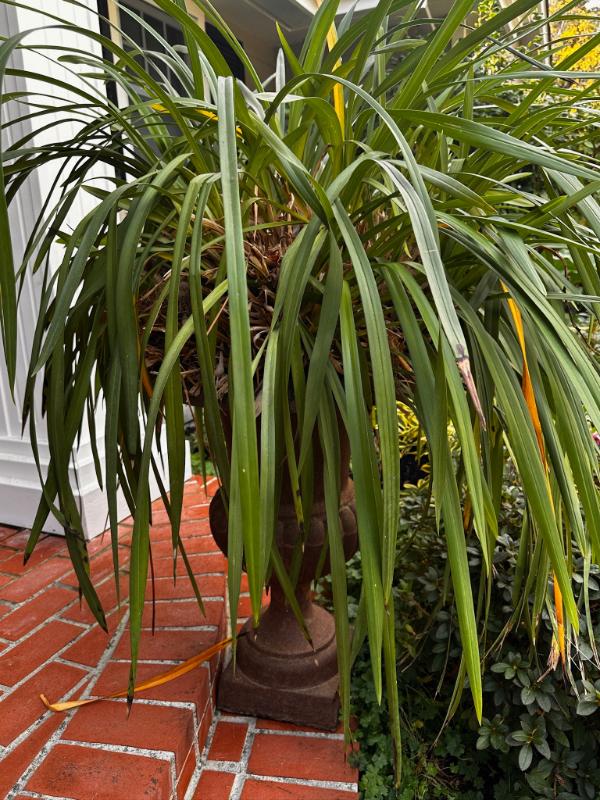 Sale Photo Thumbnail #660