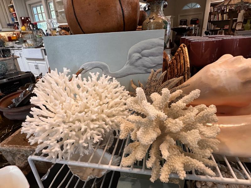 Sale Photo Thumbnail #319