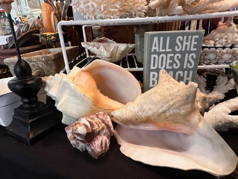 Sale Photo Thumbnail #321