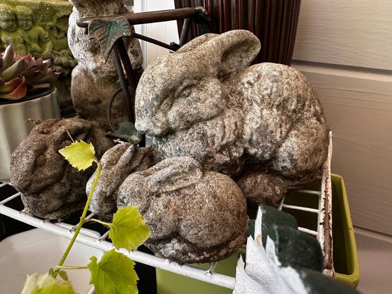 Sale Photo Thumbnail #717