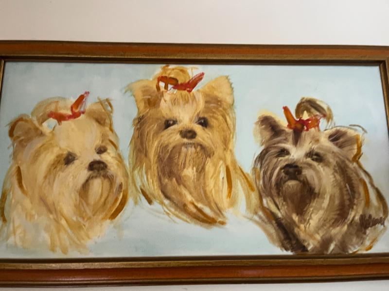 Sale Photo Thumbnail #16