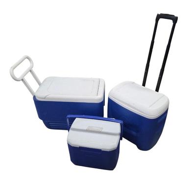 Lot #211 - Igloo & Coleman Portable Coolers