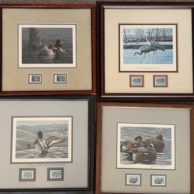 Framed Duck Stamp Prints with Stamps, Qty 4