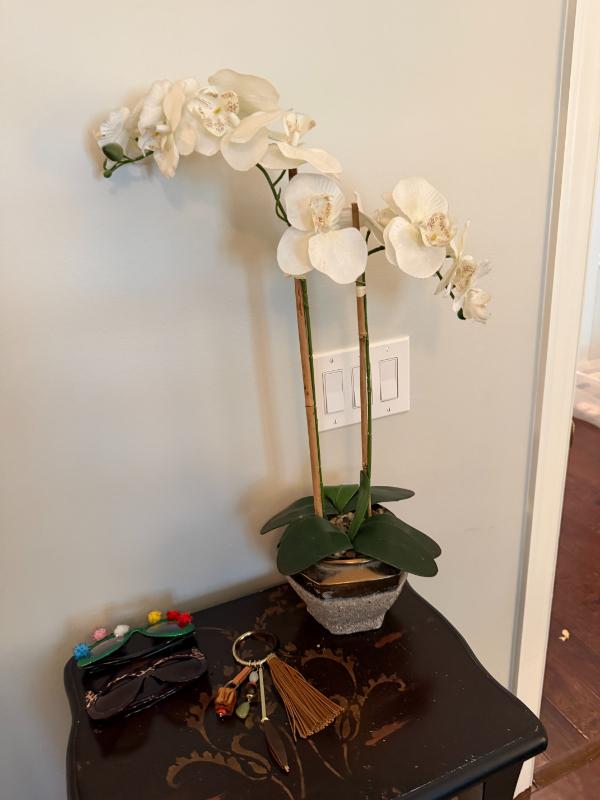 Sale Photo Thumbnail #152