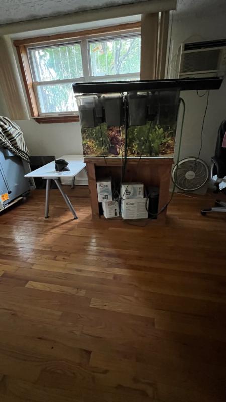 Sale Photo Thumbnail #5: Fish tank unit and filters