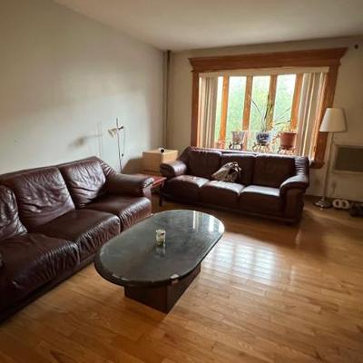 Couches and coffee table 