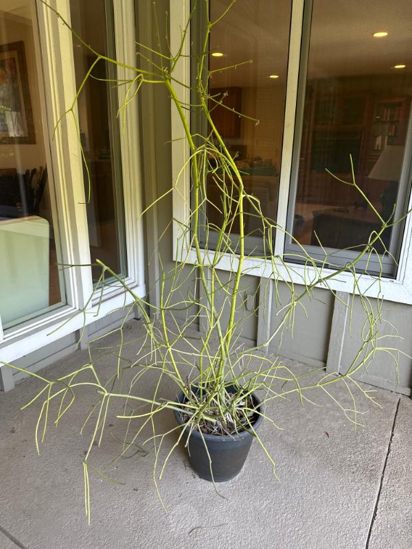 Sale Photo Thumbnail #169