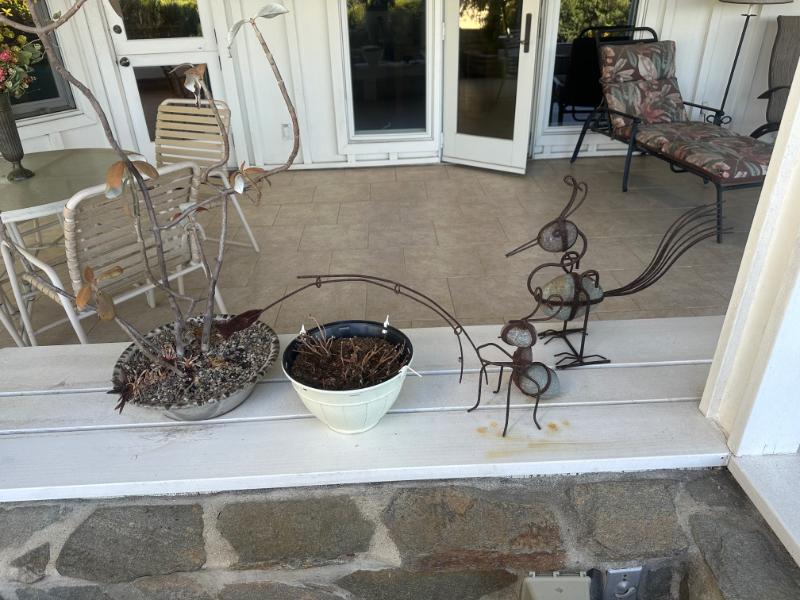 Sale Photo Thumbnail #62