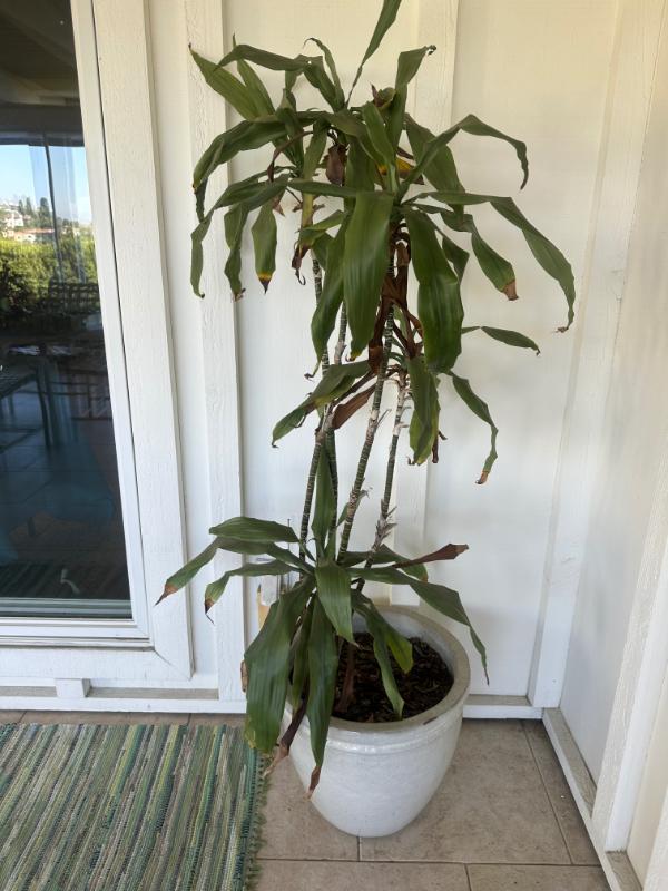 Sale Photo Thumbnail #65