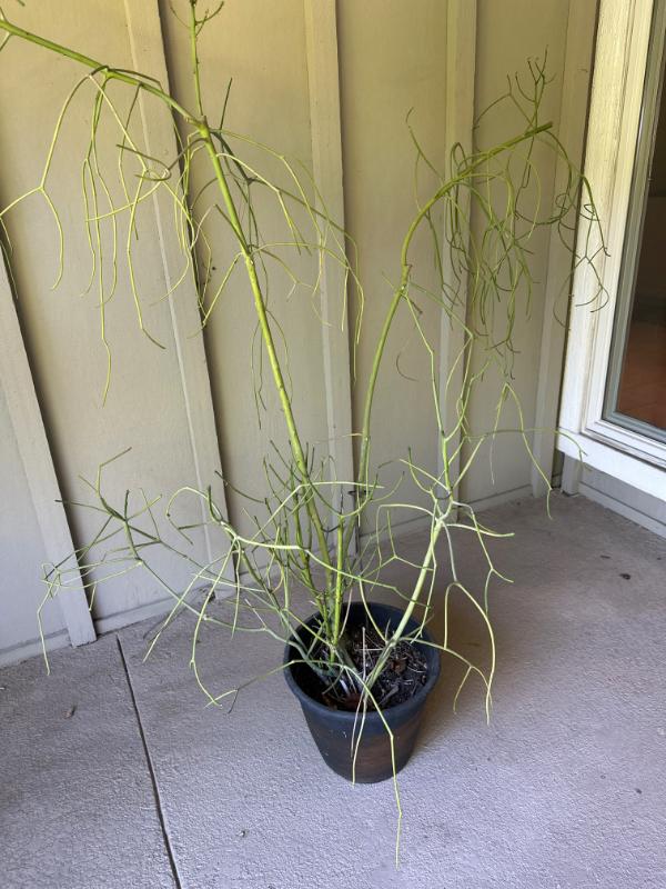 Sale Photo Thumbnail #170