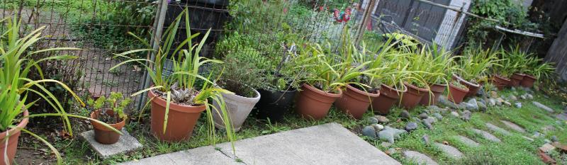 Sale Photo Thumbnail #418