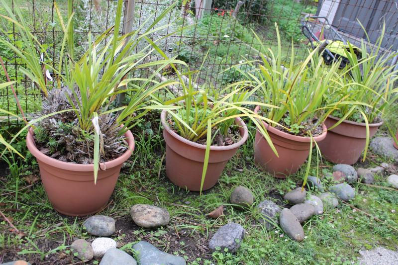 Sale Photo Thumbnail #411