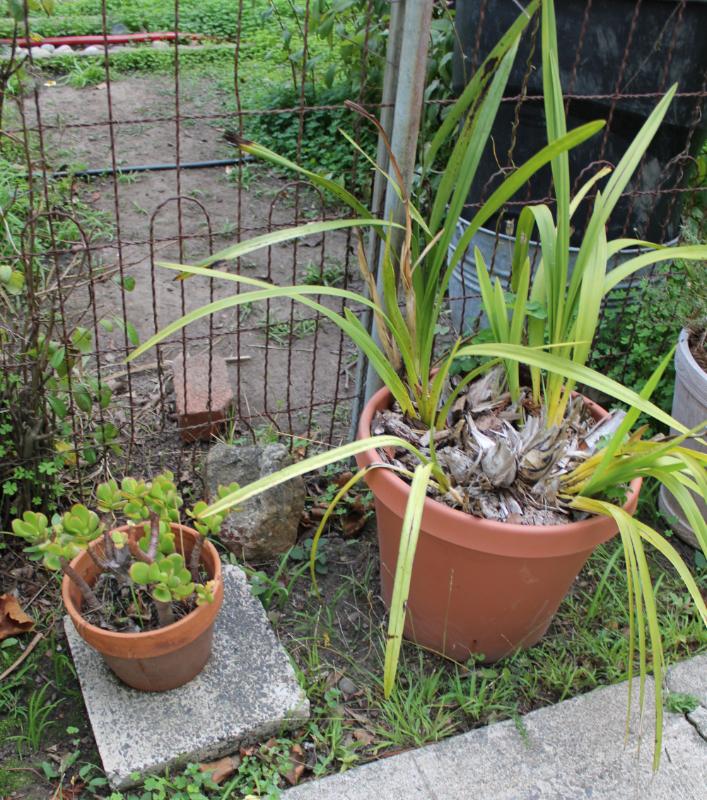 Sale Photo Thumbnail #409