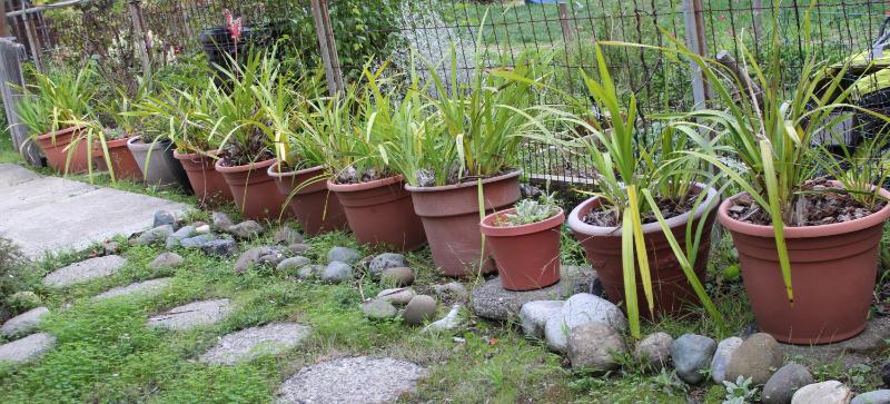 Sale Photo Thumbnail #414