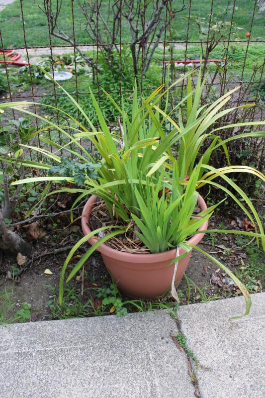 Sale Photo Thumbnail #408