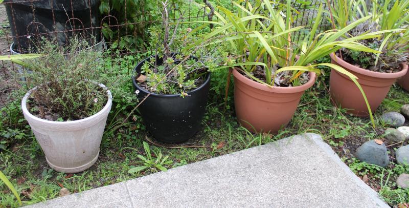 Sale Photo Thumbnail #410